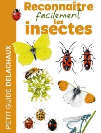 Guide d'identification