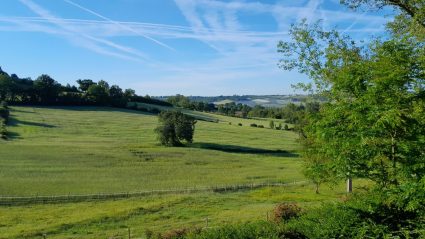 Domaine de Massoulac