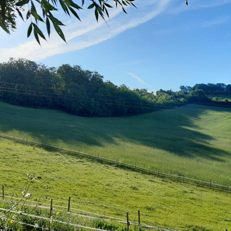 Domaine de Massoulac