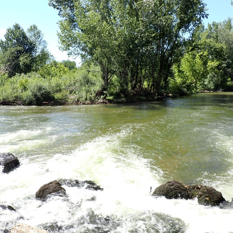rivière_l'Aveyron-Nathalie_Verger